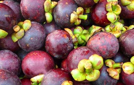 感冒咳嗽能吃山竹吗（感冒咳嗽能不能吃山竹）