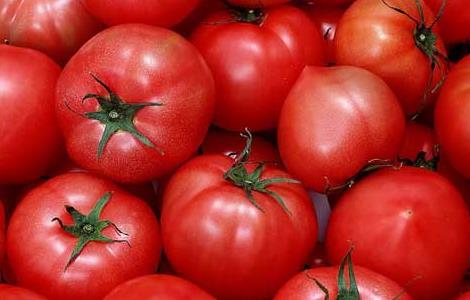 西红柿能生吃吗(西红柿能生吃吗有营养吗)