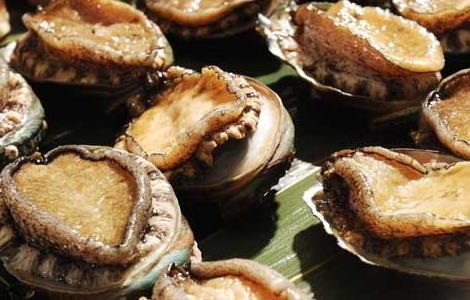 肾炎能吃鲍鱼吗(肾炎能吃鲍鱼吗百度百科)