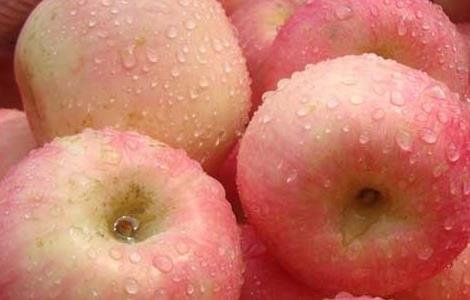 苹果的功效与作用 苹果的功效与作用营养价值