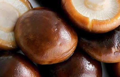 肾炎能吃香菇吗（慢性肾炎能吃香菇吗）