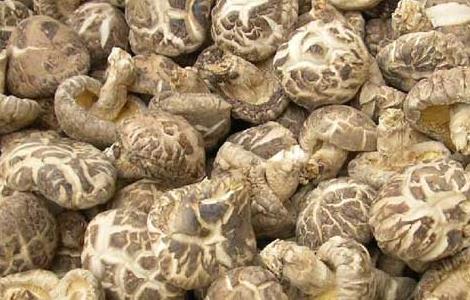 孕妇可以吃香菇吗（新冠孕妇可以吃香菇吗）