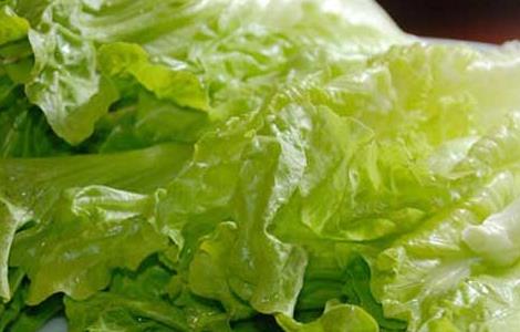 春菜的营养价值 春菜的营养价值及功效与作用