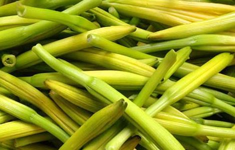 新鲜黄花菜有毒吗 新鲜黄花菜有毒吗?新鲜黄花菜怎么处理?