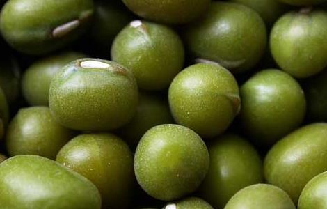 绿豆不能和什么一起吃 绿豆不能和什么一起吃吗