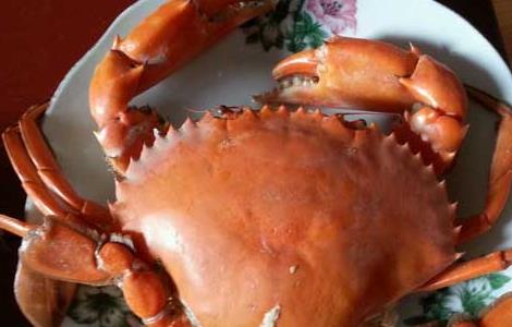 青蟹死了能吃吗（青蟹死了能吃吗?）