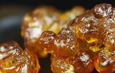 桃胶有什么副作用（桃胶有什么副作用吗）