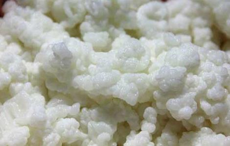 雪莲菌的功效与作用（雪莲菌的功效与作用及食用方法空腹喝要）