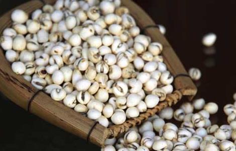 孕妇可以吃川贝吗 孕妇可以吃川贝吗泡水喝吗