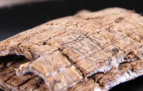 杜仲可以泡水喝吗 菟丝子杜仲可以泡水喝吗