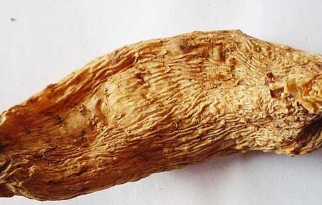 天麻泡酒有什么功效 天麻泡酒有什么功效和作用