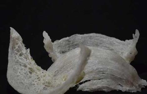 燕窝什么时候吃最好(燕窝什么时候吃最好早上还是晚上)