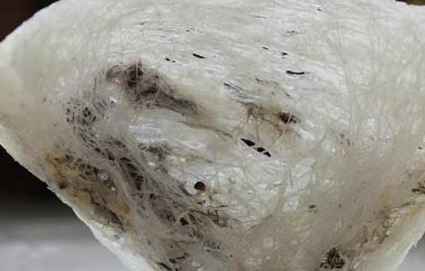 吃燕窝有什么禁忌（吃燕窝有什么禁忌嘛）