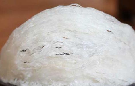 什么样的燕窝是好燕窝（什么样的燕窝是好燕窝呢）