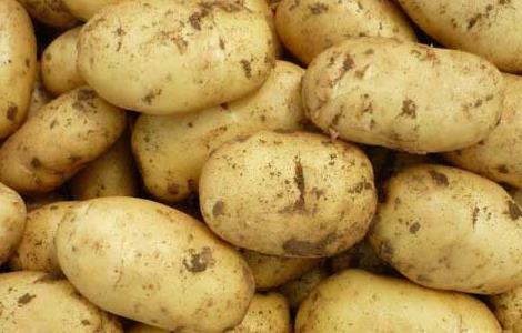 土豆和鸡蛋能一起吃吗 土豆和鸡蛋能一起吃吗,吃了怎么办