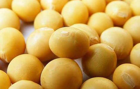 大豆异黄酮哪个牌子好(大豆异黄酮哪个牌子好啥价格)