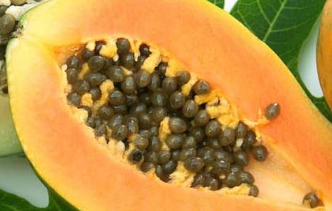 吃木瓜有什么好处 女性多吃木瓜有什么好处