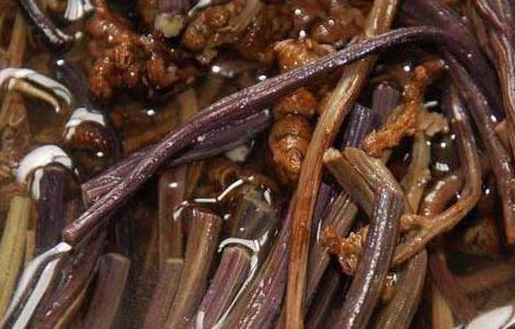 孕妇可以吃蕨菜吗（孕妇可以吃蕨菜吗晚期）