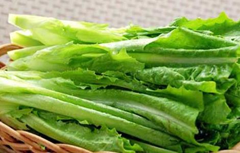 油麦菜可以生吃吗