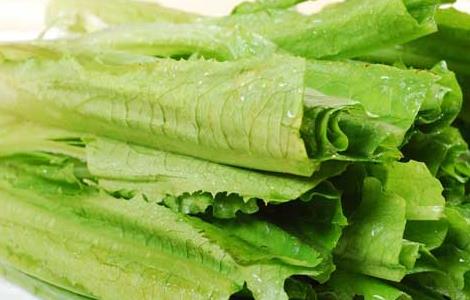 吃油麦菜会致癌吗（吃油麦菜会致癌吗百科）