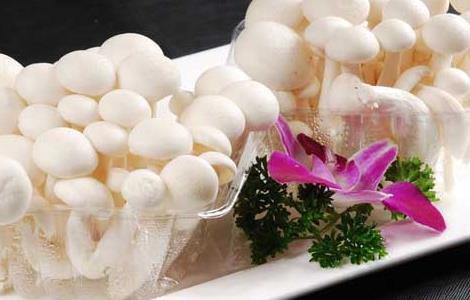 白玉菇的营养价值