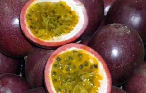 百香果的功效和禁忌（百香果的功效和禁忌 这类人不能吃百香果）