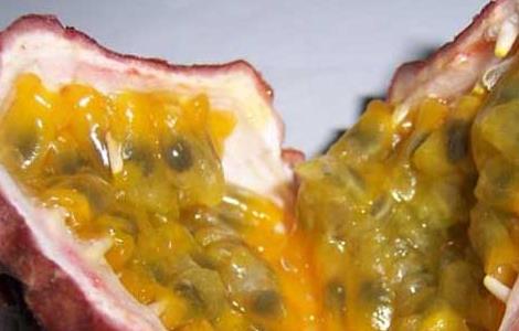 百香果皮的功效与作用 百香果皮的功效与作用有哪些