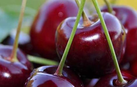 车厘子不能和什么一起吃（车厘子不能和什么一起吃香哈）