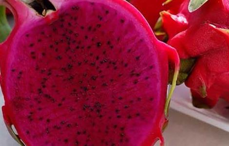 红心火龙果的功效与作用（红心火龙果的功效与作用及食用方法）