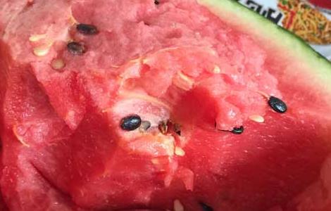 经期吃了西瓜怎么办 月经期吃了西瓜怎么办