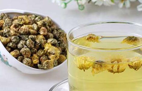 菊花金银花茶的功效与作用 蜂蜜菊花金银花茶的功效与作用