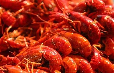 小龙虾的头能吃吗 小龙虾的头能吃吗吃了会对身体有病