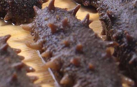 哪些人不能吃海参（哪些人不能吃海参 吃海参需要注意什么）