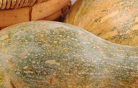 南瓜和山药能一起吃吗 一岁宝宝南瓜和山药能一起吃吗