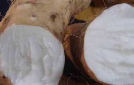 山药和土豆能一起吃吗（山药和土豆可以一起吃吗）