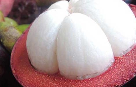 山竹不能和什么一起吃(山竹不能和什么一起吃会过敏)