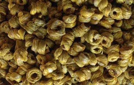 铁皮石斛有哪些禁忌（铁皮石斛的作用和禁忌）