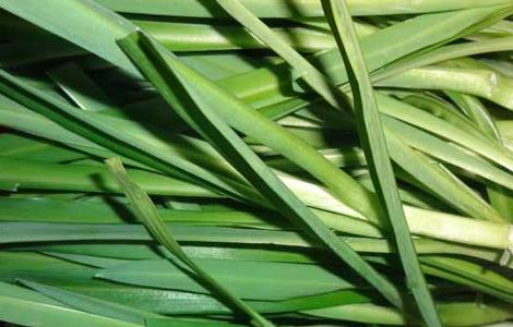 痛风能吃韭菜吗（痛风能吃韭菜吗鸡蛋吗）