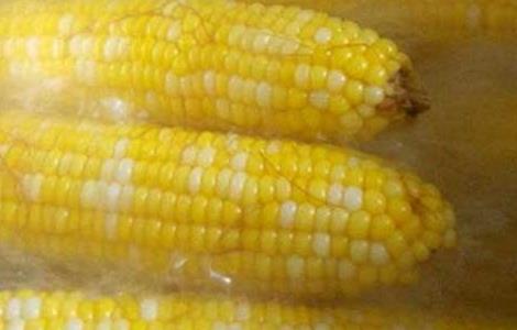 煮玉米需要多长时间 煮玉米需要多长时间 煮多久最好吃