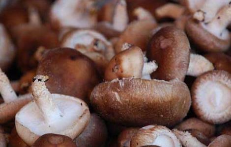 香菇不能和什么一起吃 香菇不能和什么一起吃会中毒