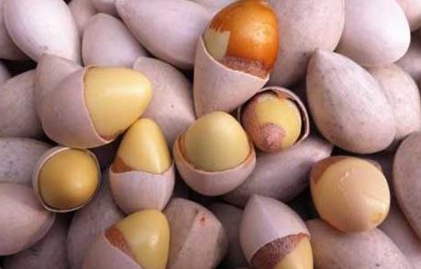 白果不能和什么一起吃 白果不能和什么一起吃 知乎