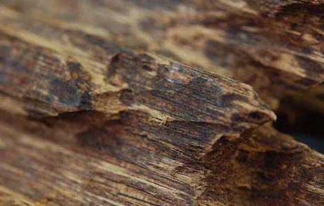 奇楠沉香怎么鉴别真假 奇楠沉香真假辨别