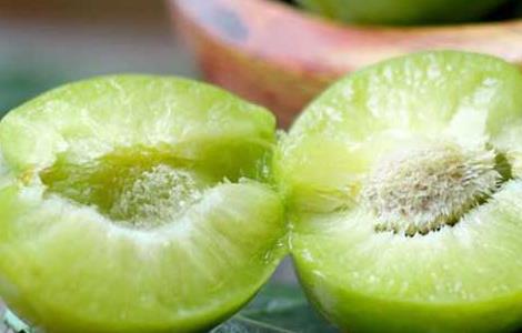 李子酒的功效及酿制方法（李子酒的功效及酿制方法图片）