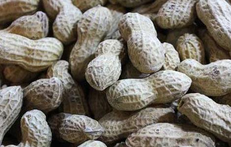 痛风患者能吃花生吗（痛风患者能吃花生吗百度百科）
