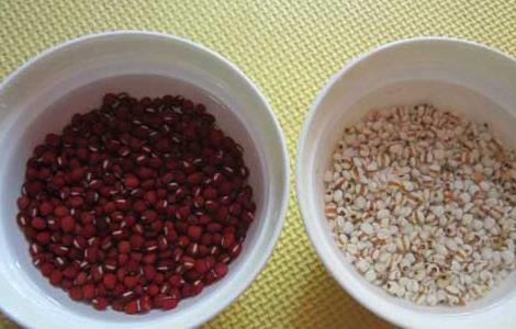 薏米和什么一起煮粥最好（薏米同什么一起煲粥）