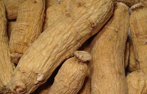 黄芪和西洋参能一起泡水喝吗（枸杞黄芪和西洋参能一起泡水喝吗）