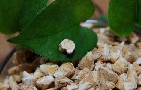 西洋参和枸杞能一起泡水喝吗 黄芪和西洋参和枸杞能一起泡水喝吗