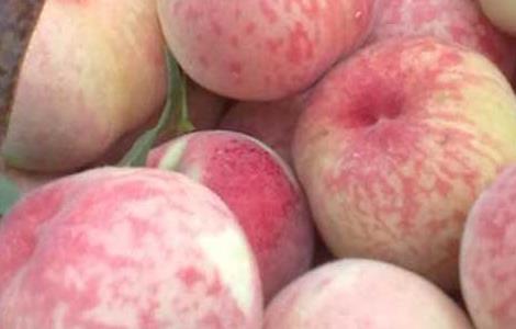 痛经能吃桃子吗