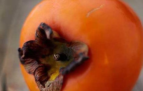 柿子和酸奶能一起吃吗（柿子和酸奶能一起吃吗喝什么药）