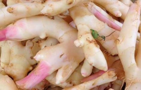 吃生姜有什么好处(晚上吃生姜有什么好处和坏处)